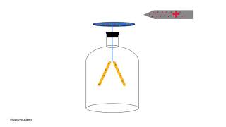 The Electroscope