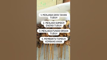 Thumbnail of EFEK SAMPING ATI AMPELA ADA DI COMMENT GUYS ! ! #shorts #info #manfaat #efeksamping #cheppyharmony