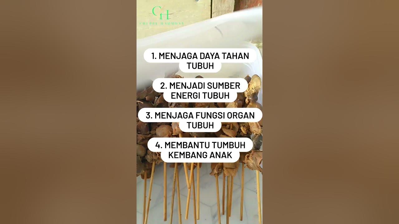 EFEK SAMPING ATI AMPELA ADA DI COMMENT GUYS ! ! #shorts #info #manfaat #efeksamping #cheppyharmony