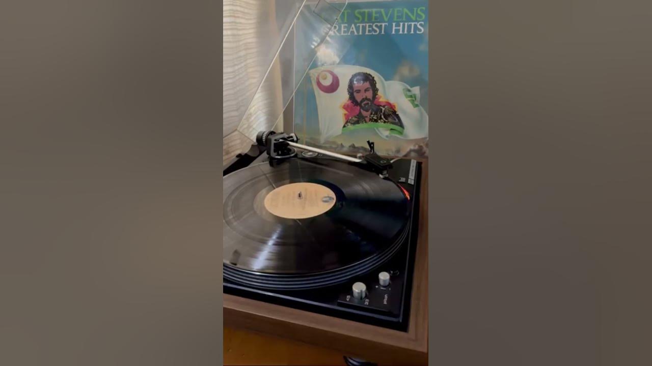 Wild World by Cat Stevens #musica #vinylcollection #vinylrecords #spindleandsoul