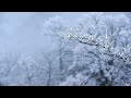 Live: A frozen fairyland in central China's 'Heaven's Gate' Tianmen Mountain – Ep. 9