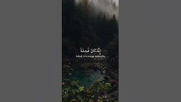 وَلَا تَقۡرَبُواْ ٱلزِّنَىٰٓۖ إِنَّهُ كَانَ فَاحِشَةً | سورة الاسراء | الشيخ خالد الجليل | أرح سمعك