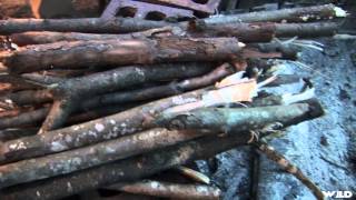 Trigger Time - Safe Backstops In The Home