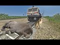 Angry Elephant Attacked on Train and Monkey — Stops the Train | BeamNG.Drive – Train Simulator 2024