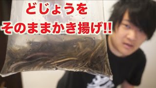 大量のどじょうをそのままかき揚げにして食べる！！