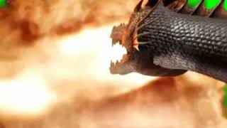 Dragon Attack With Fire On Green Screen For Vfx