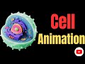 Cell Animation Complete#animation #cell#video #insight #human 
