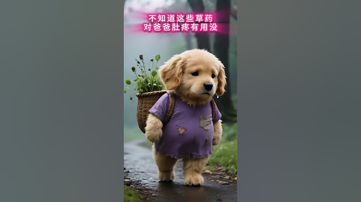 小金毛照顾生病的爸爸，到处为爸爸找寻找草药 #狗狗  #金毛  #父爱如山  #治愈  #funny