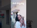 Dalaja Devi క స ఎల య న Dallu Baby క Active చ య ల Save Dogs