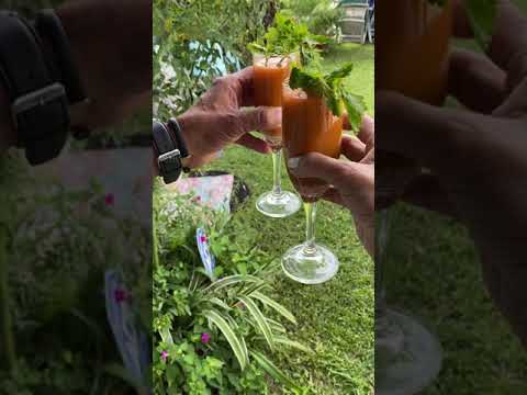 Video: Delicious Celery And Carrot Cocktail