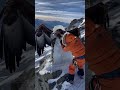 Giant Eagle Frozen on Mountain — Ice Shattered in Epic Rescue 🦅❄️