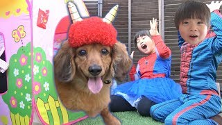 ワンワン 節分 豆まき こうくんねみちゃん