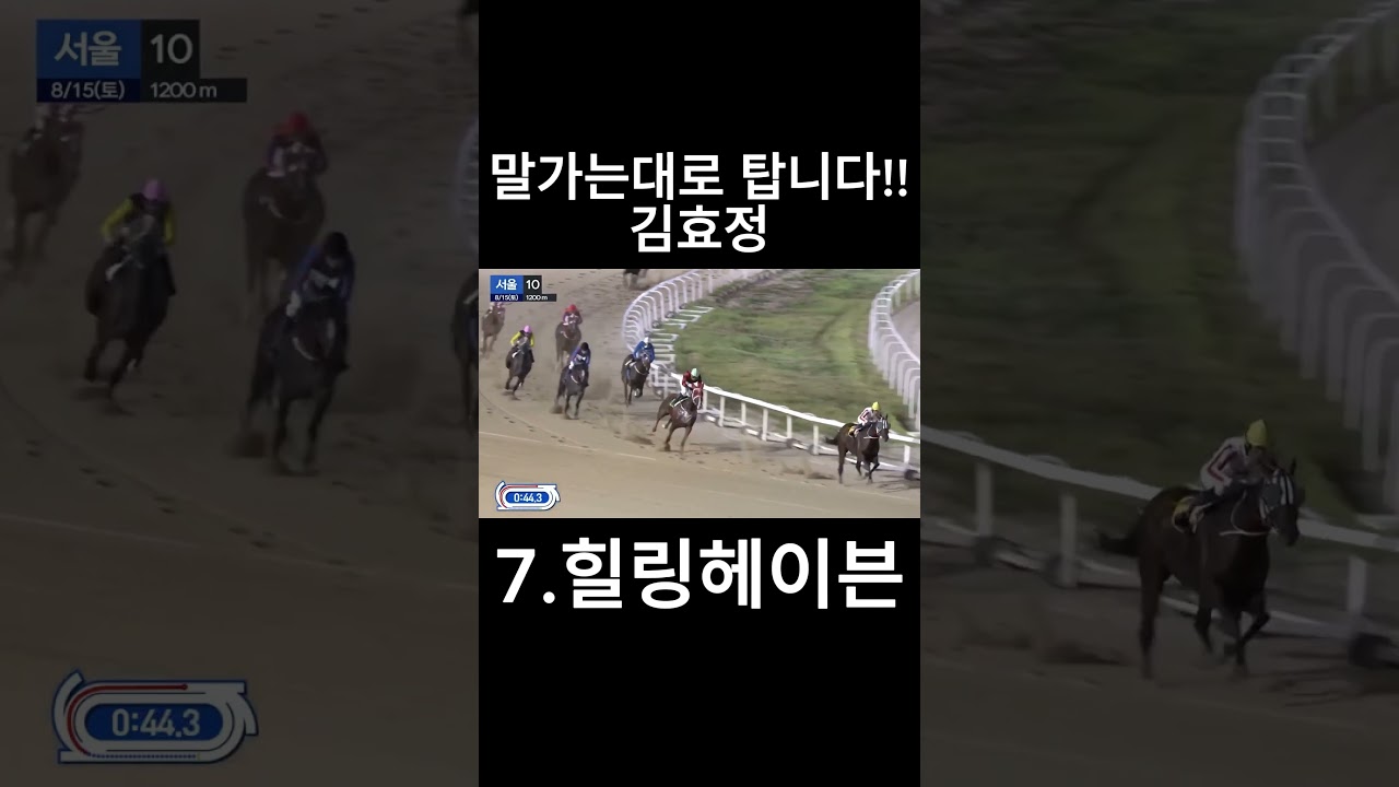 말가는대로 탑니다!!   #경마  #경마예상  #경마방송  #경마예상방송  #서울경마  #금요경마  #토요경마  #일요경마 #경마장