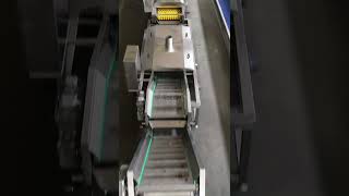 apricot washing and sorting machine line