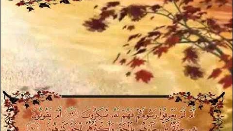 سورة الفاتحة وسورة المؤمنون .. ابراهيم الجبرين