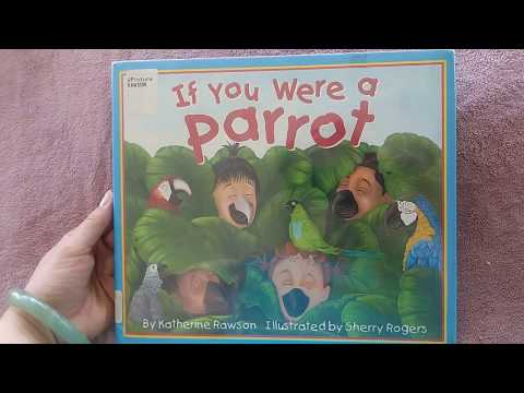 ar-books-for-you:-if-you-were-a-parrot