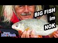 DICKE FISCHE im NORDOSTSEEKANAL - FEEDERN im STURM mit JÖRG OVENS - Unser Ziel ist Fisch - Folge 32