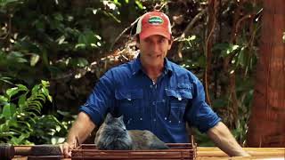 Survivor: Philippines Food Auction Went Too Far Cat Edition