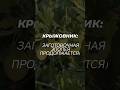 Крыжовник: заготовочная эпопея продолжается) #14деньиз30