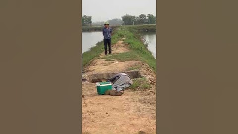 Fishinh video! Nguy hiểm điện giật khi câu cá. #shortvideo #tiktok #douyin