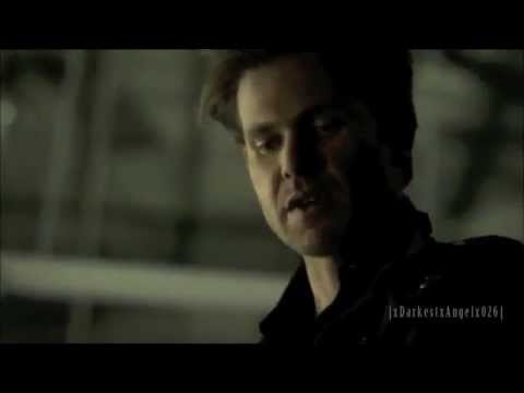 Alaric Saltzman  Sucker for Vampires