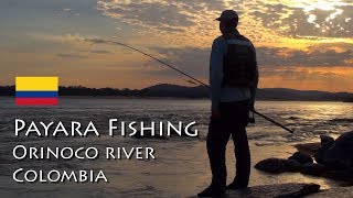 PAYARA FISHING - Orinoco River - Colombia