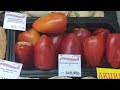 РЕКОМЕНДУЕМ! КУРИННЫЕ ПРОДУКТЫ И НЕ ДОРОГИЕ ЦЕНЫ В ФИРМЕННЫХ МАГАЗИНАХ НОВОСИБИРСКА.