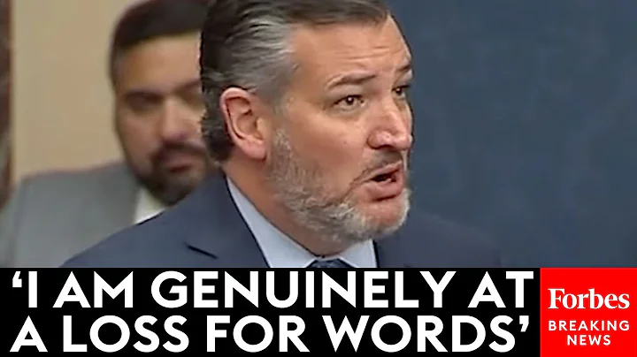 'I Am Genuinely At A Loss For Words': Ted Cruz Sho...