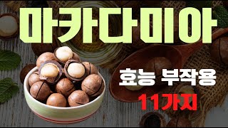마카다미아 효능 & 부작용