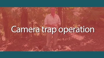 Camera trap operation