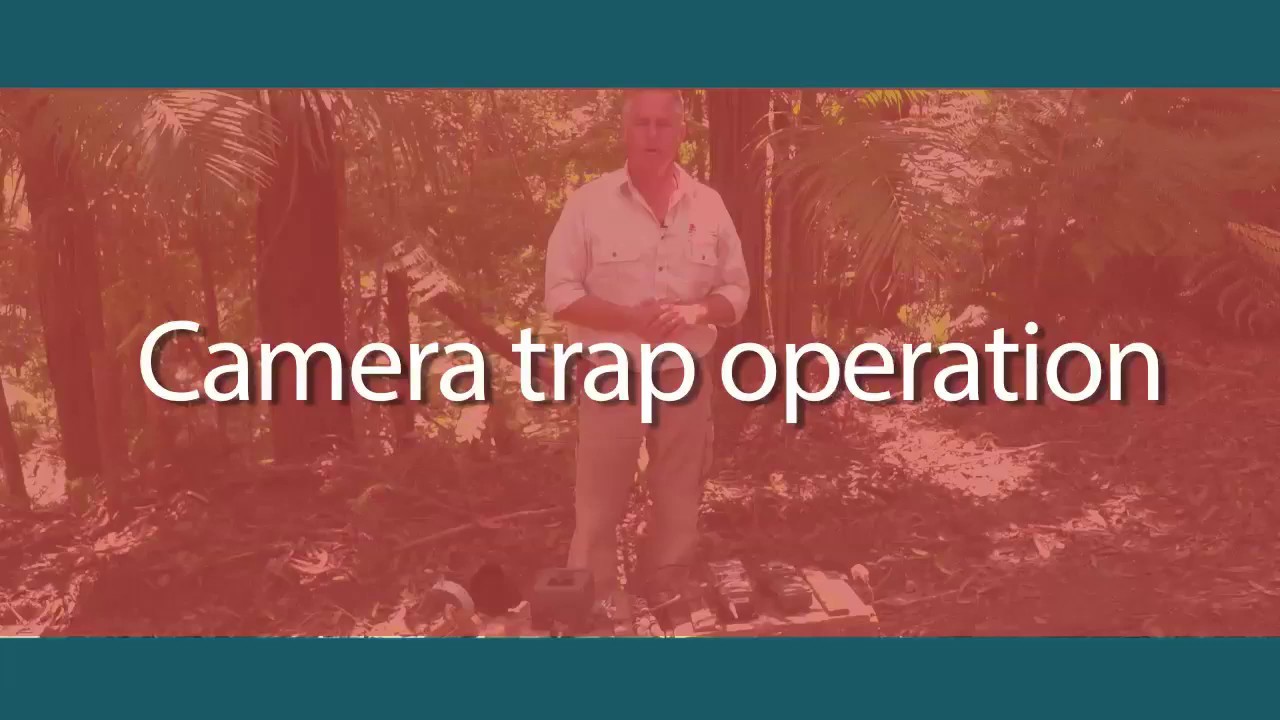 Camera trap operation