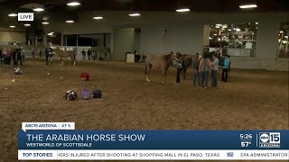 Scottsdale Arabian Horse Show kicks off