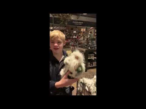 DiamondWolf: Kerstshow Intratuin Duiven 2019 #Vlog2