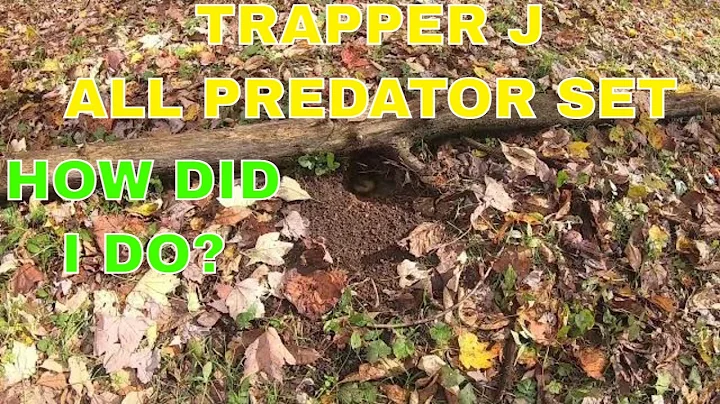 PA Trapping Season 2021-2022. ep.1 Setting Traps #coyotetrapping #raccoontrapping