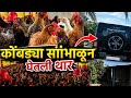 पोल्ट्री फॉर्म व्यवसाय मधून कमावतो लाखों रुपये 🐓👑#poultryfarming #poultrytips #agribusiness