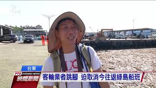 漂流木塞滿富岡漁港 漁船、客輪卡港內 20190826 公視晚間新聞