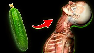 Start Eating Just 1 CUCUMBER a Day and See What Happens To Your Body.