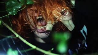 The Well Runs Red - Effigy (Official Music Video)