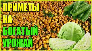 НАРОДНЫЕ ПРИМЕТЫ ОГОРОДНИКА! КОГДА САЖАТЬ НА БОГАТЫЙ УРОЖАЙ КАРТОФЕЛЬ, КАПУСТУ И ОГУРЦЫ