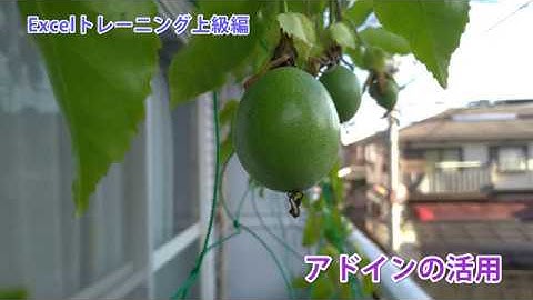 Excelトレーニング上級編 - アドイン