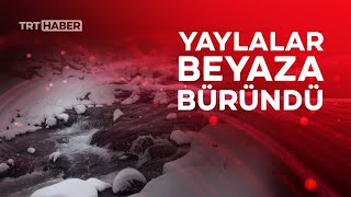 Rize Yaylalarında Kar Kalınlığı 20 Santimi Aştı