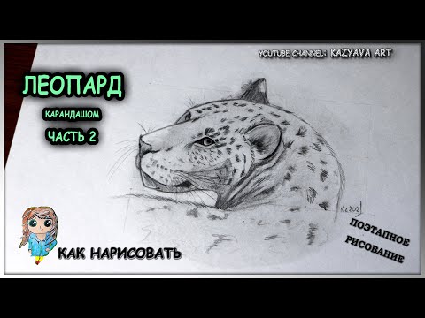 Video: Ako Nakresliť Leoparda