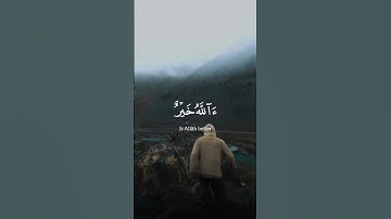 قُل الحمدلله 🌿حالات واتس اب قرآن كريم تلاوة مؤثرة بصوت جميل Quran Status ⚘️