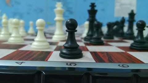 Viva video editor demo slideshow-chess