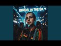 Birds in the sky techno