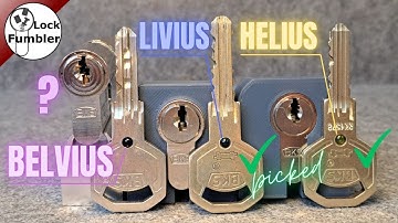 BKS Belvius SL picked and gutted [249]