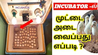 இன்குபேட்டர் பயன்படுத்தும் முன் இதை பாருங்க - How to use incubator?