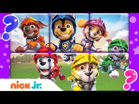 Puzzle Game Mix-Up #9 w/ PAW Patrol, Santiago & Baby Shark! 🧩 | Nick Jr.