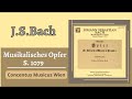 Musikalisches opfer musical offering s 1079 by johann sebastian bach concentus musicus wien