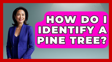 How Do I Identify A Pine Tree? - Chasing Big Fish